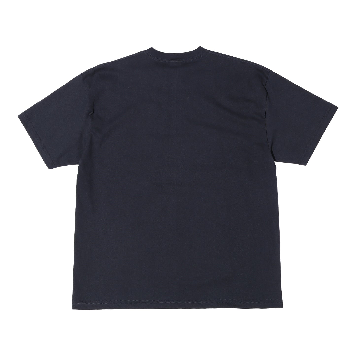SUCKCESS / HEAVY WEIGHT T-SHIRT