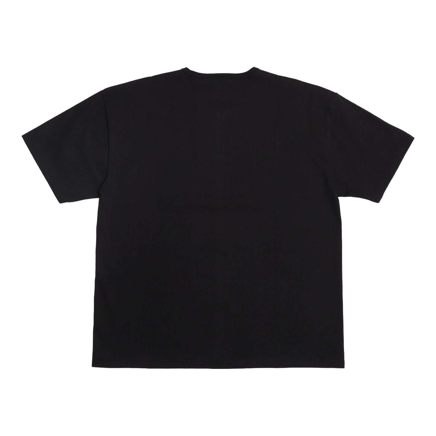DIABLO / HEAVY WEIGHT T-SHIRT